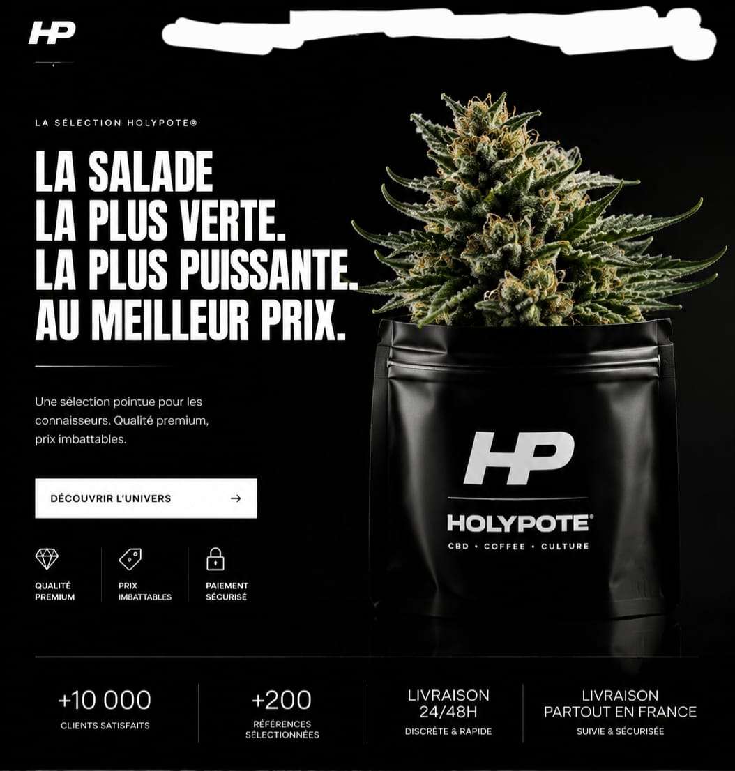 Sachet Holypote noir surmonté d'une fleur